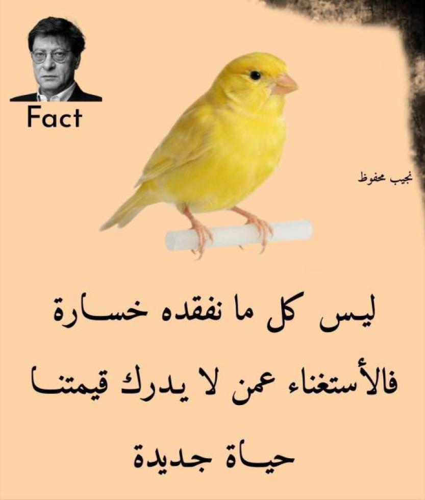 راحة البال 2